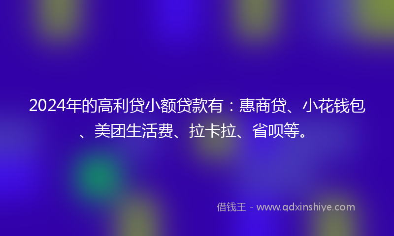 2024年的高利贷小额贷款有：惠商贷、小花钱包、美团生活费、拉卡拉、省呗等。