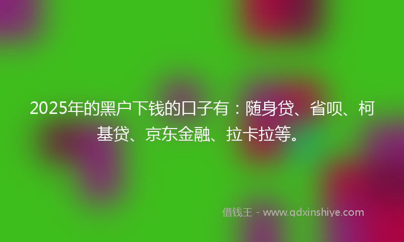 2025年的黑户下钱的口子有：随身贷、省呗、柯基贷、京东金融、拉卡拉等。