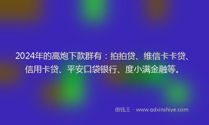 2024年的高炮下款群有：拍拍贷、维信卡卡贷、信用卡贷、平安口袋银行、度小满金融等。