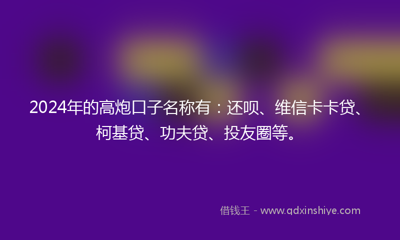 2024年的高炮口子名称有：还呗、维信卡卡贷、柯基贷、功夫贷、投友圈等。