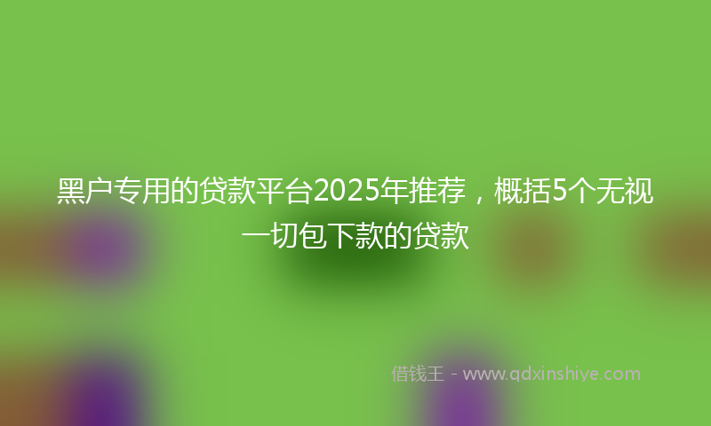 黑户专用的贷款平台2025年推荐，概括5个无视一切包下款的贷款