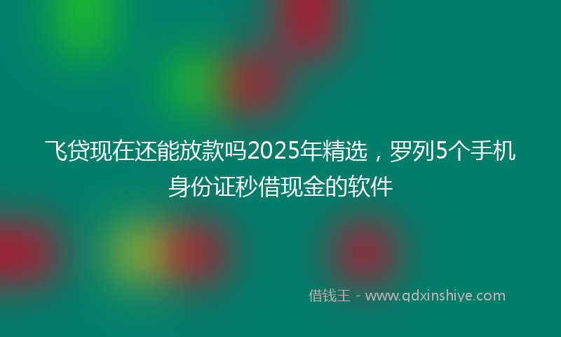 飞贷现在还能放款吗2025年精选，罗列5个手机身份证秒借现金的软件