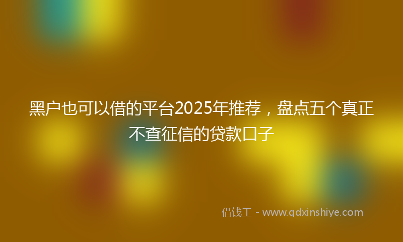 黑户也可以借的平台2025年推荐，盘点五个真正不查征信的贷款口子