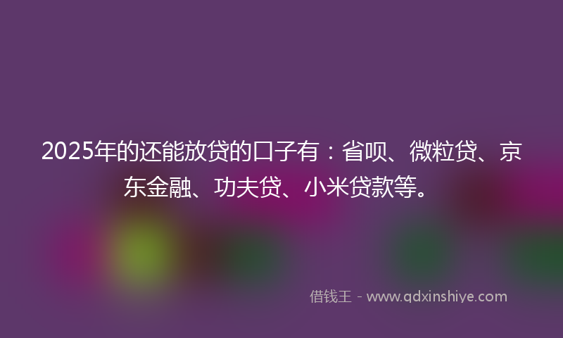 2025年的还能放贷的口子有：省呗、微粒贷、京东金融、功夫贷、小米贷款等。