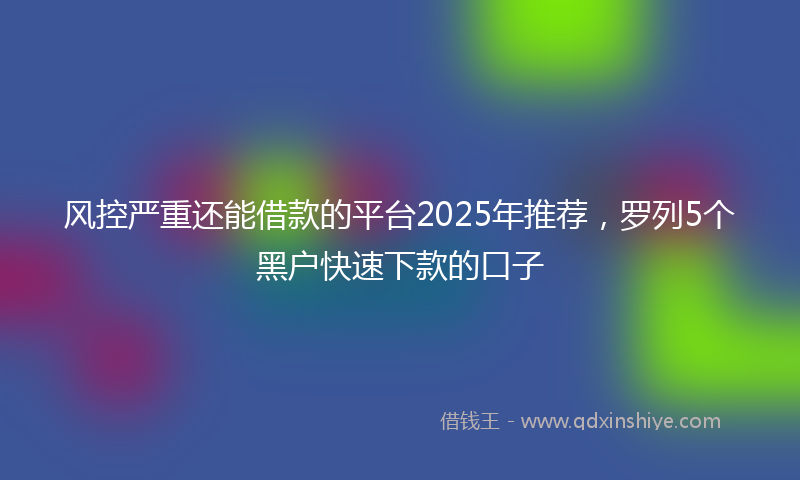 风控严重还能借款的平台2025年推荐，罗列5个黑户快速下款的口子