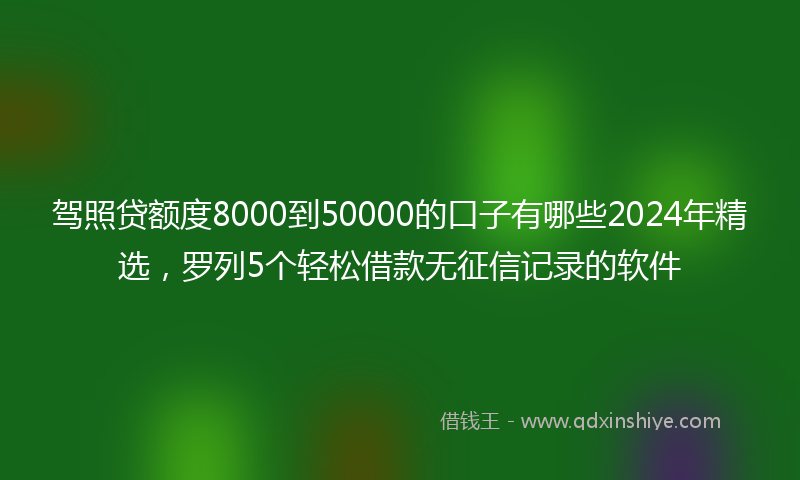 驾照贷额度8000到50000的口子有哪些2024年精选，罗列5个轻松借款无征信记录的软件