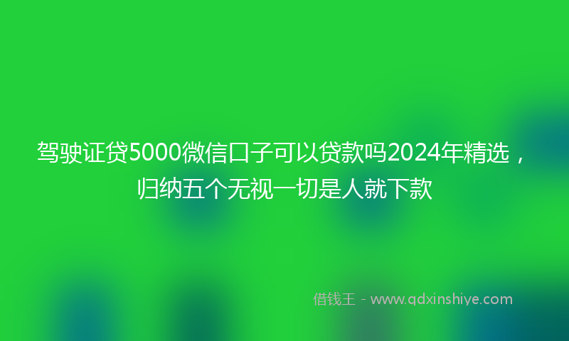驾驶证贷5000微信口子可以贷款吗2024年精选，归纳五个无视一切是人就下款