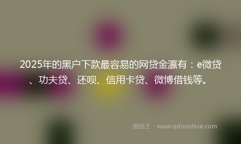 2025年的黑户下款最容易的网贷金瀛有：e微贷、功夫贷、还呗、信用卡贷、微博借钱等。