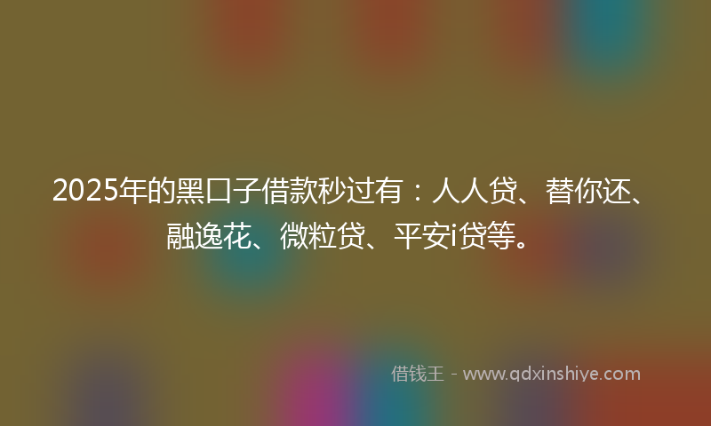 2025年的黑口子借款秒过有：人人贷、替你还、融逸花、微粒贷、平安i贷等。