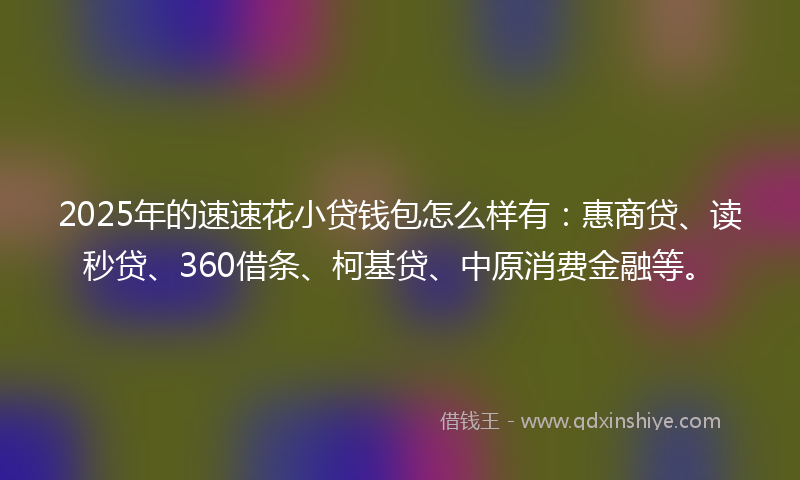 2025年的速速花小贷钱包怎么样有：惠商贷、读秒贷、360借条、柯基贷、中原消费金融等。