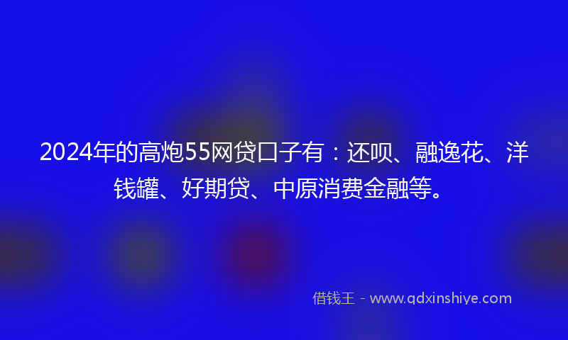 2024年的高炮55网贷口子有：还呗、融逸花、洋钱罐、好期贷、中原消费金融等。