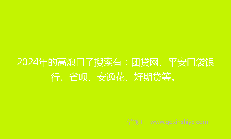 2024年的高炮口子搜索有：团贷网、平安口袋银行、省呗、安逸花、好期贷等。