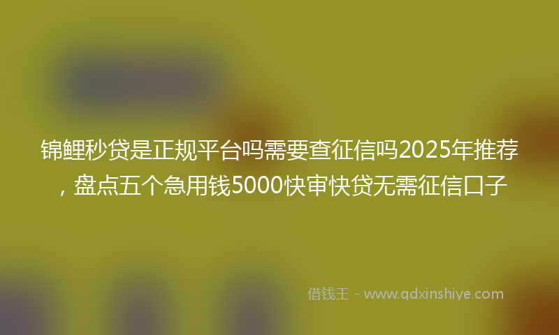 锦鲤秒贷是正规平台吗需要查征信吗2025年推荐，盘点五个急用钱5000快审快贷无需征信口子