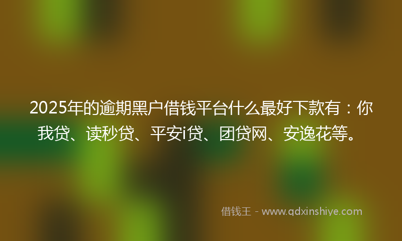 2025年的逾期黑户借钱平台什么最好下款有：你我贷、读秒贷、平安i贷、团贷网、安逸花等。
