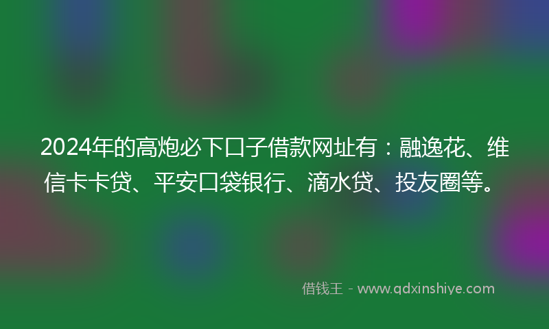 2024年的高炮必下口子借款网址有：融逸花、维信卡卡贷、平安口袋银行、滴水贷、投友圈等。