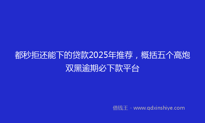 都秒拒还能下的贷款2025年推荐，概括五个高炮双黑逾期必下款平台