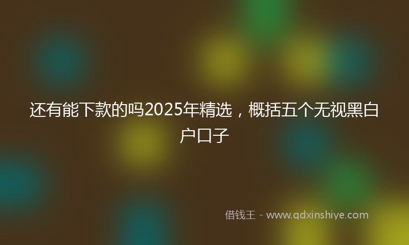还有能下款的吗2025年精选，概括五个无视黑白户口子