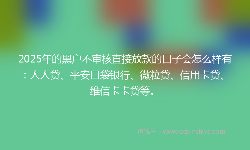 2025年的黑户不审核直接放款的口子会怎么样有：人人贷、平安口袋银行、微粒贷、信用卡贷、维信卡卡贷等。