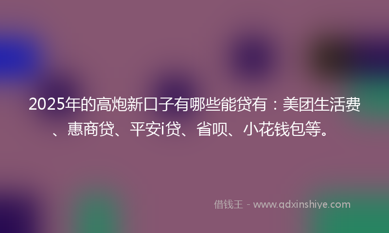 2025年的高炮新口子有哪些能贷有：美团生活费、惠商贷、平安i贷、省呗、小花钱包等。