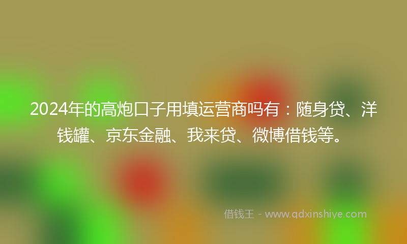 2024年的高炮口子用填运营商吗有：随身贷、洋钱罐、京东金融、我来贷、微博借钱等。