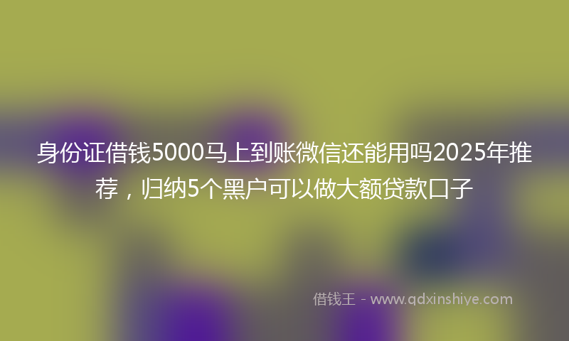 身份证借钱5000马上到账微信还能用吗2025年推荐，归纳5个黑户可以做大额贷款口子
