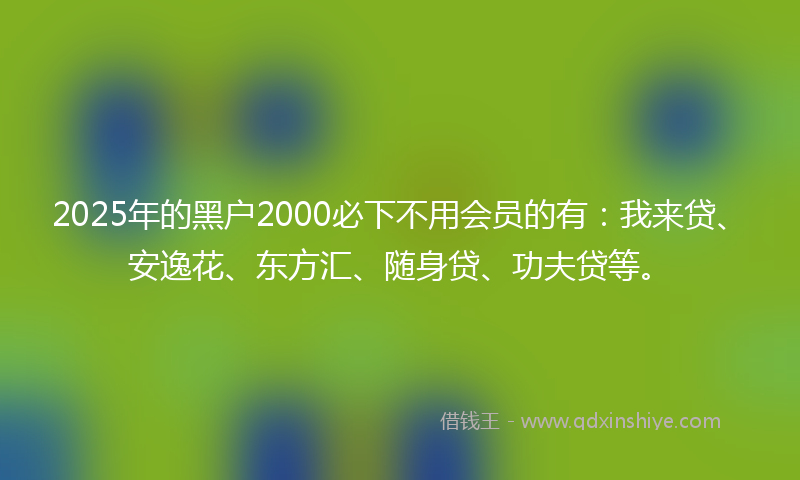 2025年的黑户2000必下不用会员的有：我来贷、安逸花、东方汇、随身贷、功夫贷等。