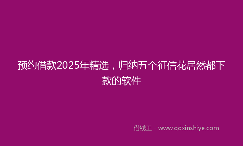 预约借款2025年精选，归纳五个征信花居然都下款的软件