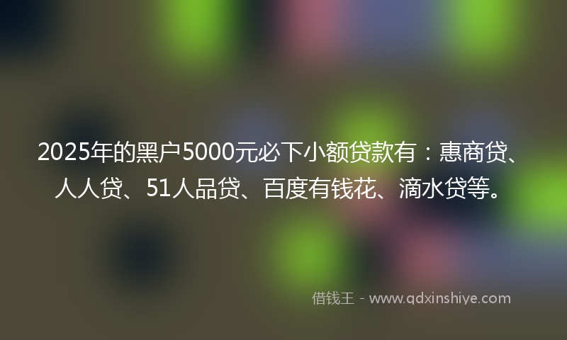 2025年的黑户5000元必下小额贷款有：惠商贷、人人贷、51人品贷、百度有钱花、滴水贷等。