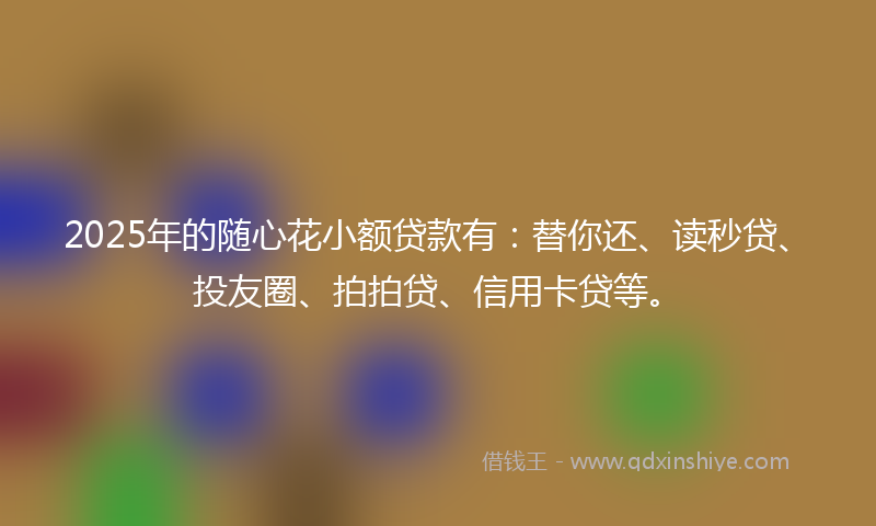 2025年的随心花小额贷款有：替你还、读秒贷、投友圈、拍拍贷、信用卡贷等。