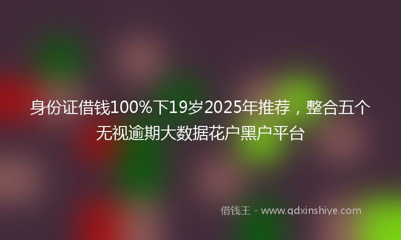 身份证借钱100%下19岁2025年推荐，整合五个无视逾期大数据花户黑户平台