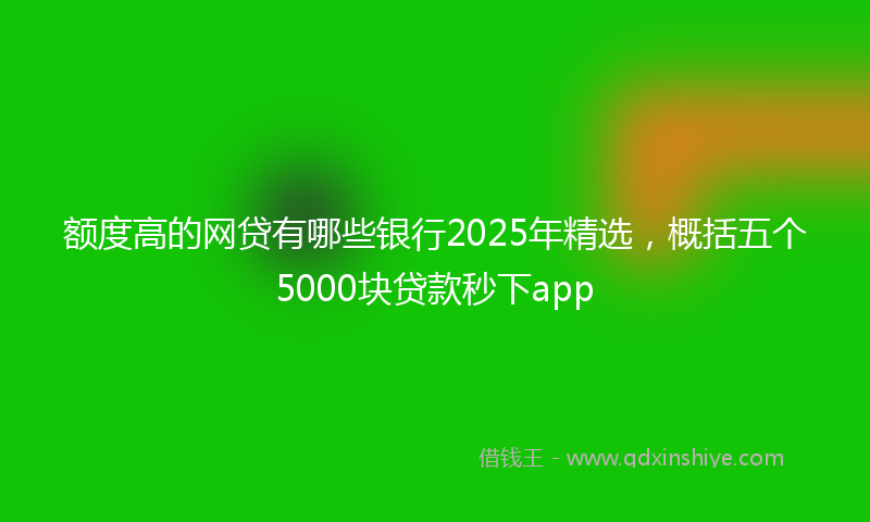 额度高的网贷有哪些银行2025年精选，概括五个5000块贷款秒下app