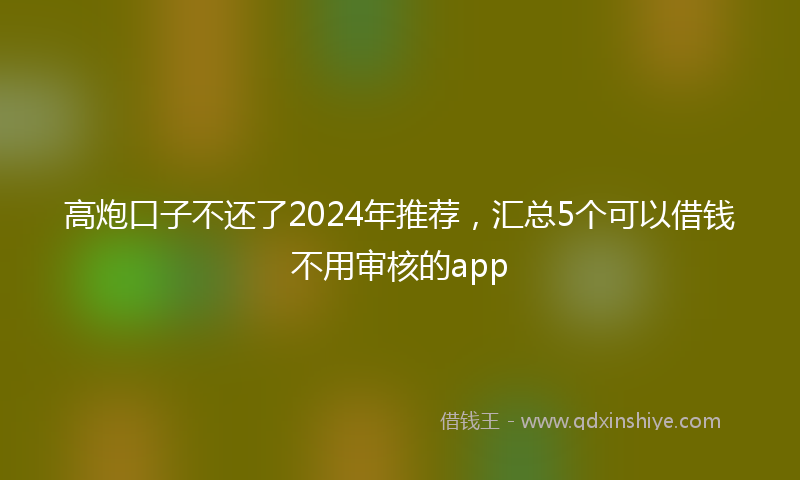 高炮口子不还了2024年推荐，汇总5个可以借钱不用审核的app