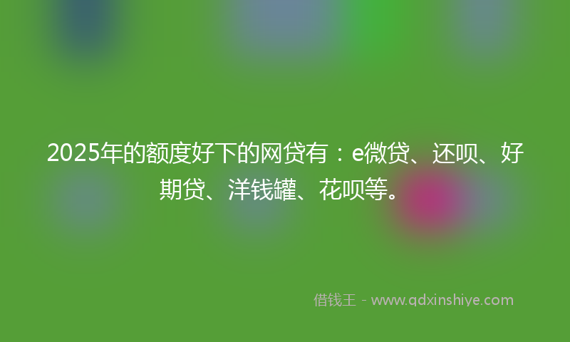 2025年的额度好下的网贷有：e微贷、还呗、好期贷、洋钱罐、花呗等。