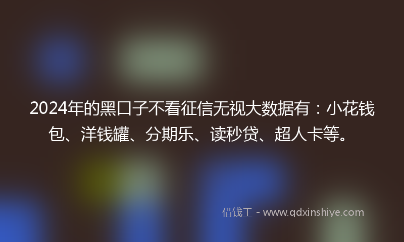 2024年的黑口子不看征信无视大数据有：小花钱包、洋钱罐、分期乐、读秒贷、超人卡等。