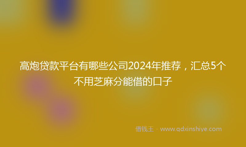 高炮贷款平台有哪些公司2024年推荐，汇总5个不用芝麻分能借的口子