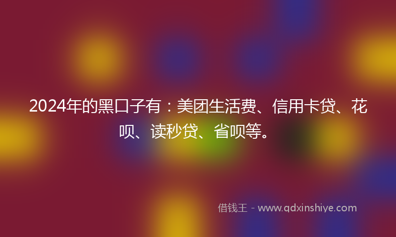 2024年的黑口子有：美团生活费、信用卡贷、花呗、读秒贷、省呗等。
