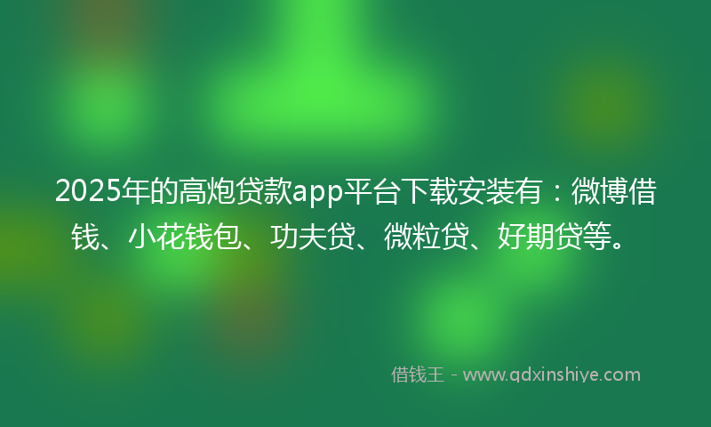 2025年的高炮贷款app平台下载安装有：微博借钱、小花钱包、功夫贷、微粒贷、好期贷等。