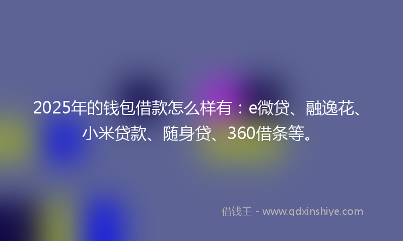 2025年的钱包借款怎么样有：e微贷、融逸花、小米贷款、随身贷、360借条等。