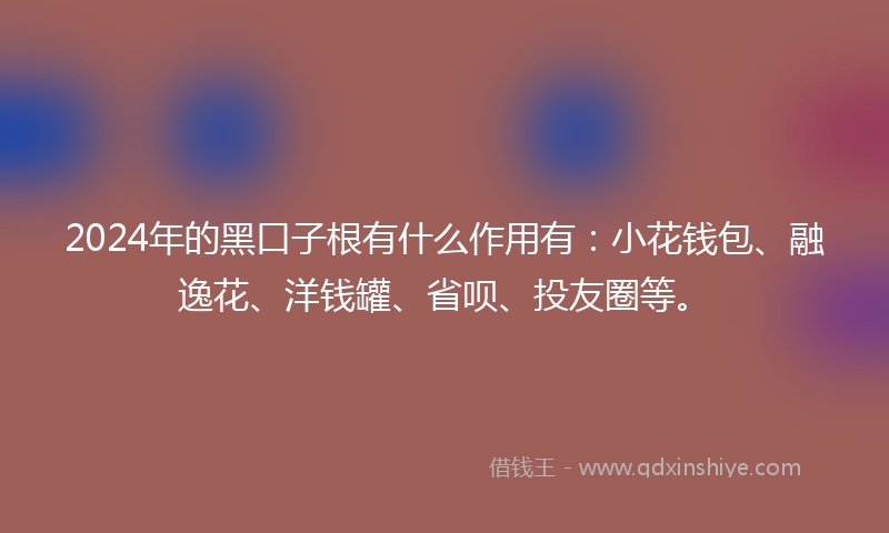 2024年的黑口子根有什么作用有：小花钱包、融逸花、洋钱罐、省呗、投友圈等。