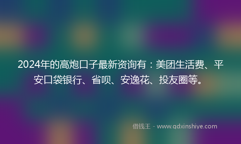 2024年的高炮口子最新资询有：美团生活费、平安口袋银行、省呗、安逸花、投友圈等。