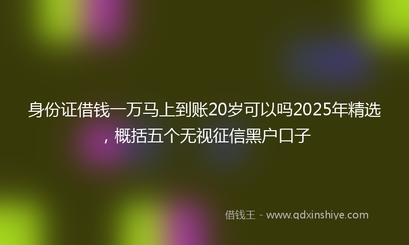 身份证借钱一万马上到账20岁可以吗2025年精选，概括五个无视征信黑户口子