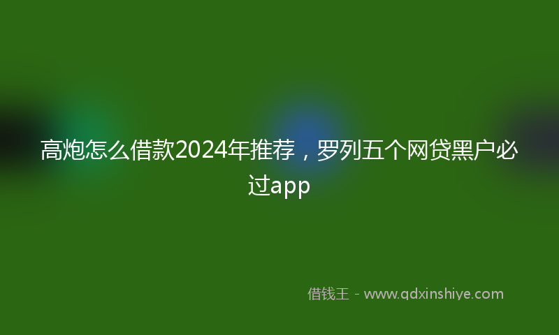 高炮怎么借款2024年推荐，罗列五个网贷黑户必过app