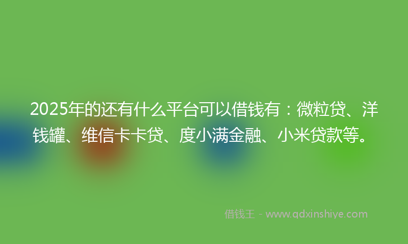 2025年的还有什么平台可以借钱有：微粒贷、洋钱罐、维信卡卡贷、度小满金融、小米贷款等。