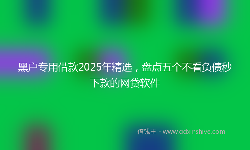 黑户专用借款2025年精选，盘点五个不看负债秒下款的网贷软件