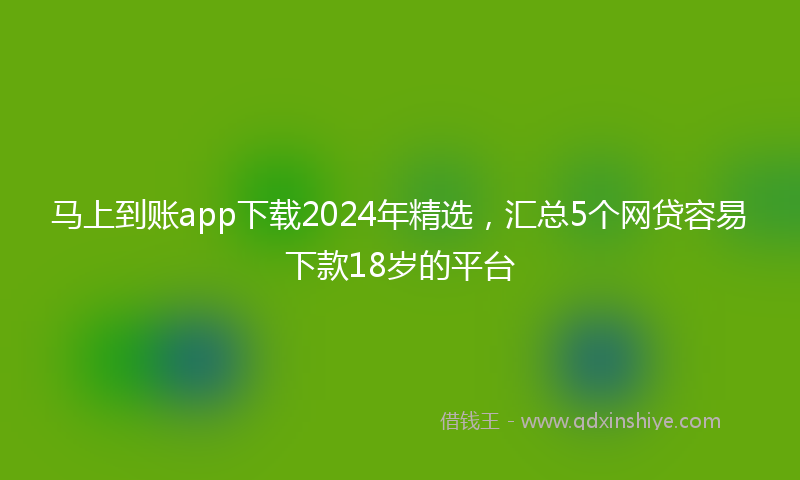 马上到账app下载2024年精选，汇总5个网贷容易下款18岁的平台