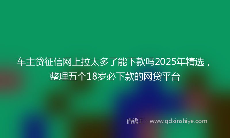 车主贷征信网上拉太多了能下款吗2025年精选，整理五个18岁必下款的网贷平台