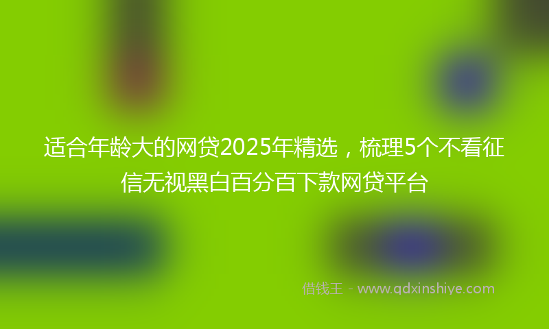 适合年龄大的网贷2025年精选，梳理5个不看征信无视黑白百分百下款网贷平台