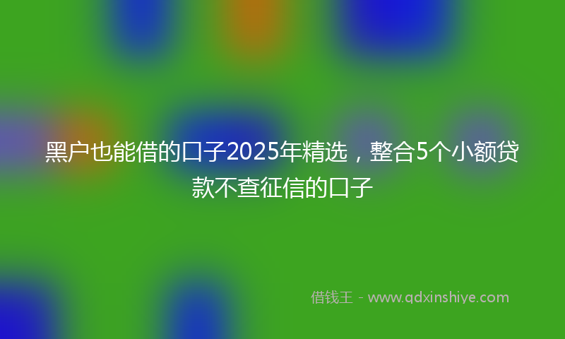 黑户也能借的口子2025年精选，整合5个小额贷款不查征信的口子