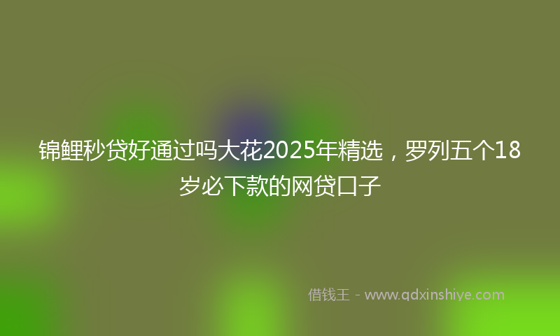 锦鲤秒贷好通过吗大花2025年精选，罗列五个18岁必下款的网贷口子