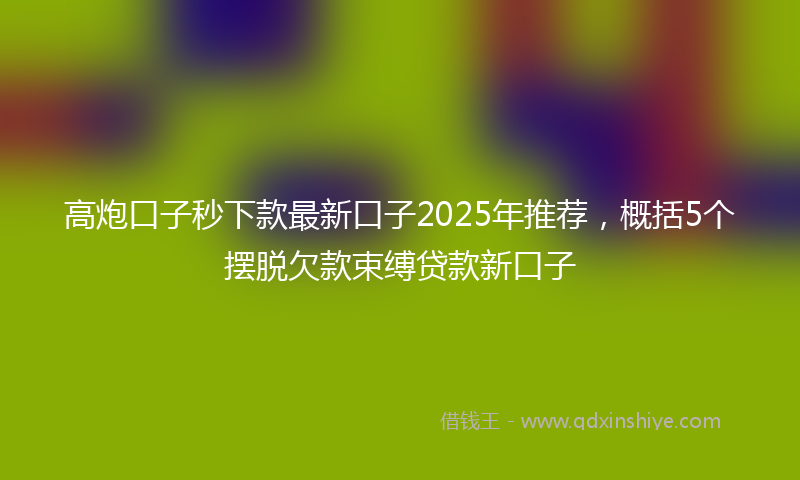 高炮口子秒下款最新口子2025年推荐，概括5个摆脱欠款束缚贷款新口子